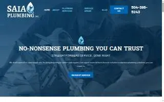 Saia Plumbing inc website