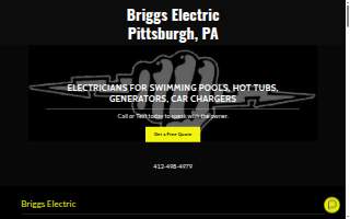 Briggs Electric