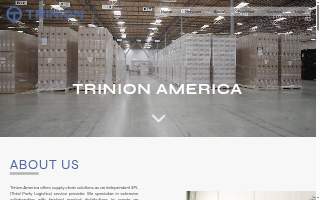 Trinion America, Inc