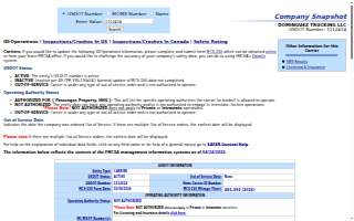 Dominguez Trucking LLC