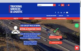 Trucking Services & Logistic LLC