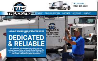 Nts Llc
