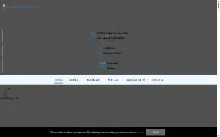 Downtown Dental Services website