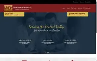 Terry L. Stone CPA website