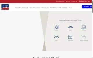 Texan Insurance website