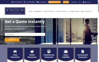 Einstein Insurance