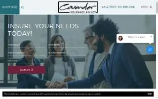 Cavender Insurance Agency website