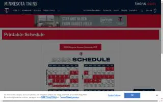Twins Plumbing and Heating Inc. website