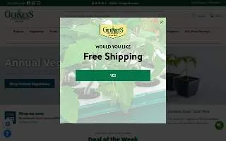 Gurney's Automotive Repair of Nashua website