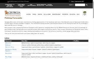 Donca Builder | Construction Newark NJ
