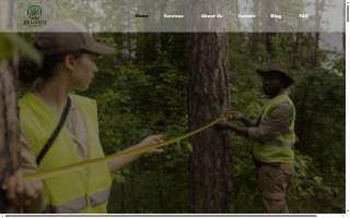Jersey City Tree Services