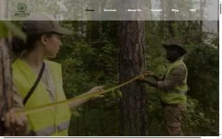Jersey City Tree Services website