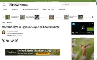 Jay's Heating and Air website