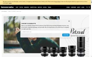 Lomo Saltado Peruvian Cuisine
