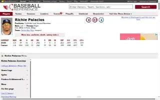 Palacios & Palacios website