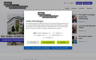 Hawk Electric Inc