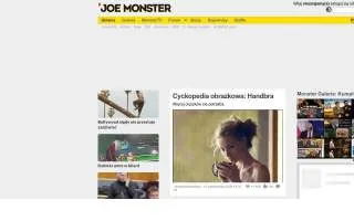 Joe the Plumber of Newark website