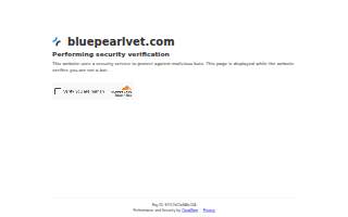 BluePearl Pet Hospital