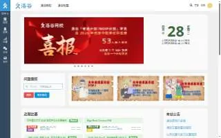 Luo Cpa Pllc website