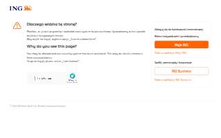 ING Financial Partners