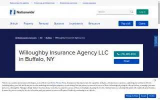 Willoughby Insurance of Buffalo website