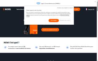 Nickel Electric Inc
