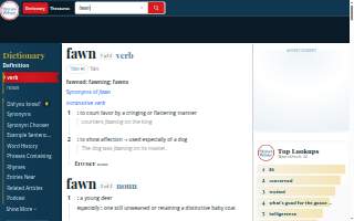 Fawn Studio