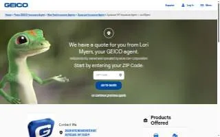 Lori Myers - GEICO Insurance Agent website