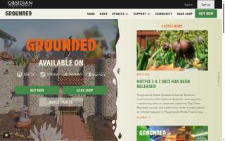 Grounded Within Chiropractic