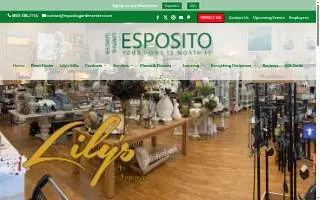 Esposito & Son Hvac, Plumbing And Electrical, Llc website