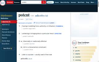 Potent Chiropractic