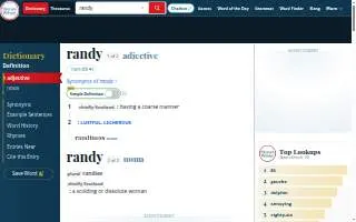 Randy's Electric & Plumbing of St. Paul website