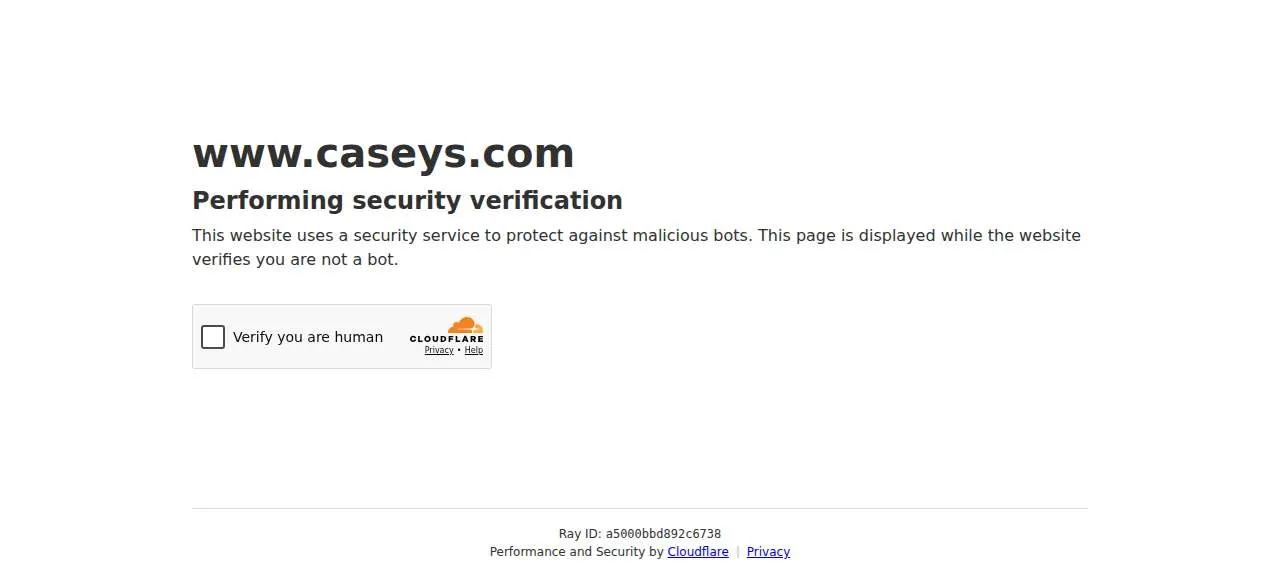 Casey Peterson, Ltd. of Rapid City website