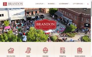 Brandon's Plumbing