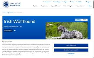 Wolfhounds Bar & Grill