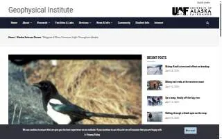 Magpie Coffeeshop website
