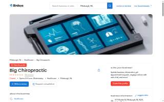 Big Chiropractic
