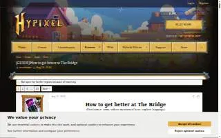 Bridges Chiropractic website