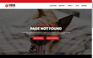 VEG ER for Pets of Burlington website