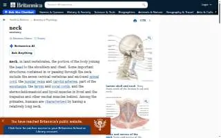 Neck and Back Pain Relief Center website