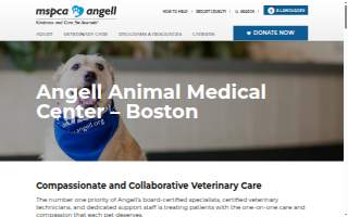Angell Street Dental Associates