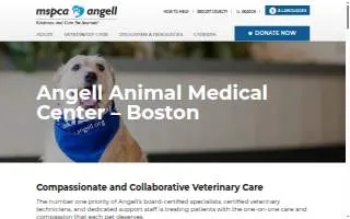 Angell Street Dental Associates website