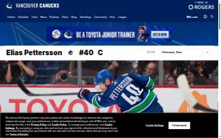 Petterson Electric Inc