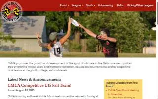 Frisbees - Plumbing, Heating, AC & Electrical Contractor website