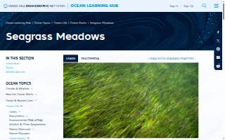 Meadows Animal Hospital