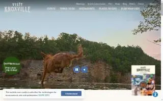 Knoxville Family Dental East website