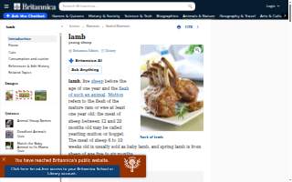 Lamb's Heating & Air Conditioning
