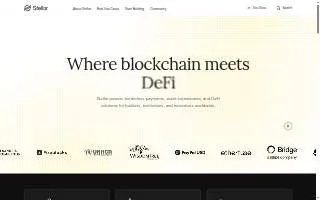 Stellar Express Inc website