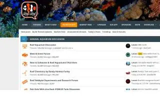 Saltwater Grill website