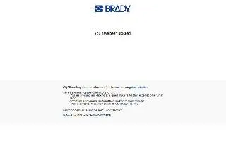 Brady's Pub of Margate website